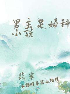 男主是妇科医生小说
