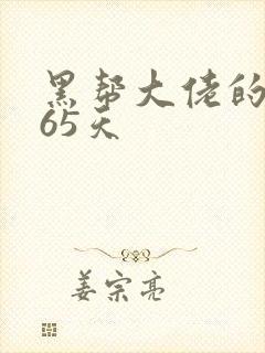 黑帮大佬的第365天
