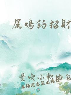 属鸡的招财摆件