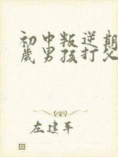 初中叛逆期15岁男孩打父母