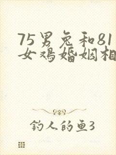75男兔和81女鸡婚姻相配好吗