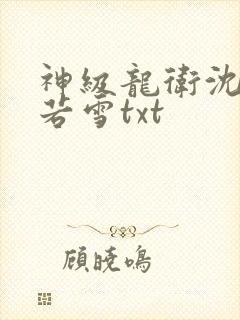 神级龙卫沈浪苏若雪txt