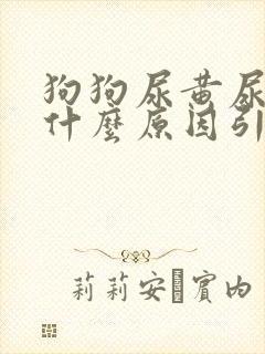 狗狗尿黄尿血是什么原因引起的