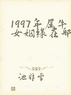 1997年属牛女姻缘在哪年