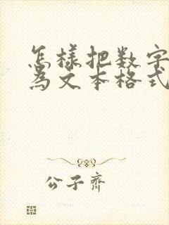 怎样把数字转化为文本格式