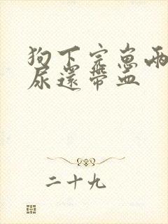 狗下完崽两个月尿还带血