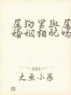 属狗男与属虎女婚姻相配吗