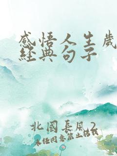 感悟人生岁月的经典句子