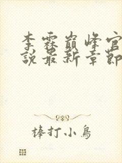 李霖巅峰官场小说最新章节更新