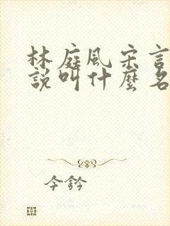 林庭风宋言汐小说叫什么名字