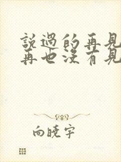 说过的再见也就再也没有见是哪首歌的歌词