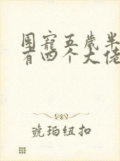 团宠五岁半:我有四个大佬哥哥