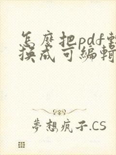 怎么把pdf转换成可编辑的ppt