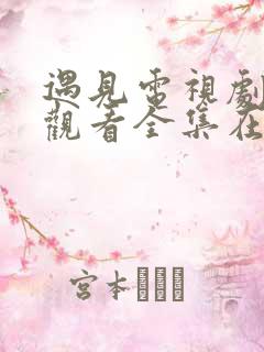 遇见电视剧免费观看全集在线播放