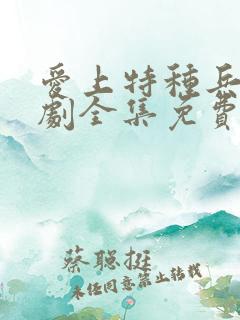 爱上特种兵连续剧全集免费观看