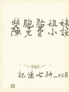 双胞胎姐妹齐上阵免费小说