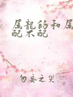 属龙的和属鼠的配不配