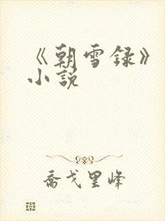 《朝雪录》原著小说