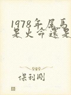 1978年属马是火命还是土命