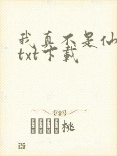 我真不是仙二代txt下载