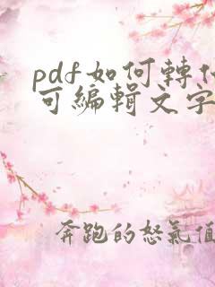 pdf如何转化可编辑文字的word