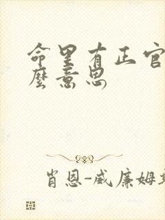命里有正官是什么意思