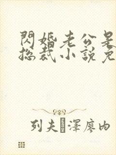 闪婚老公是千亿总裁小说免费