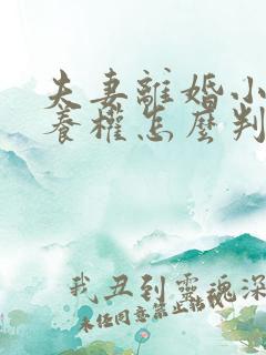夫妻离婚小孩抚养权怎么判抚养费怎么出