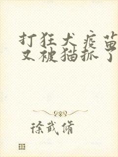 打狂犬疫苗期间又被猫抓了怎么办