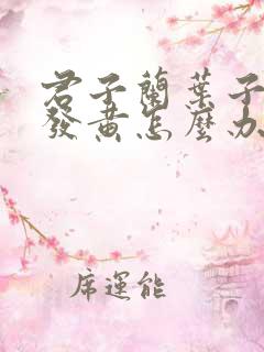 君子兰叶子边缘发黄怎么办