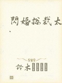 闪婚总裁太霸道.