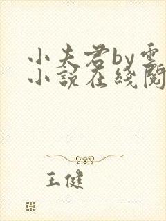 小夫君by云间小说在线阅读全文