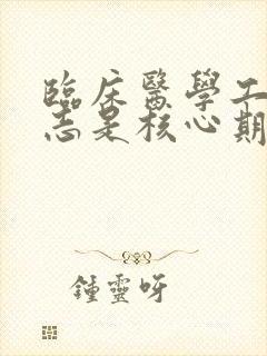 临床医学工程杂志是核心期刊吗