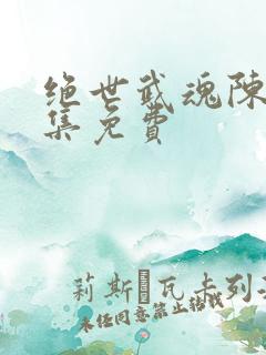 绝世武魂陈枫全集免费