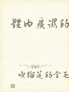 体内痰湿的症状