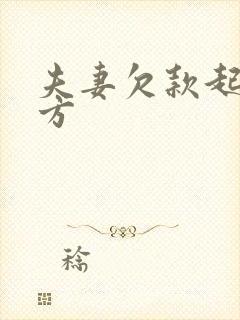 夫妻欠款起诉一方