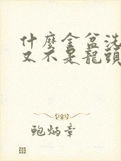 什么金盆洗手我又不是龙头笔趣阁