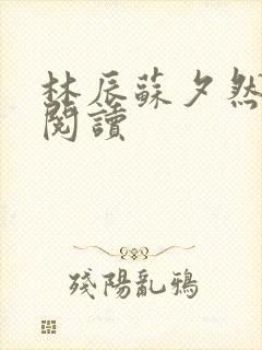 林辰苏夕然免费阅读