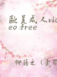 欧美成人video free