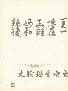 辣妈正传夏冰最后和谁在一起了
