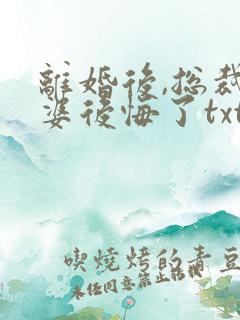 离婚后,总裁老婆后悔了txt下载全本