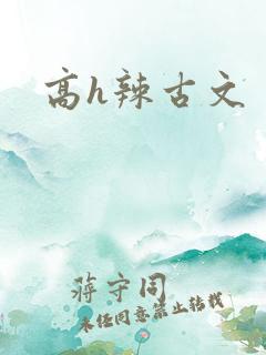高h辣古文