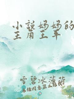 小说妈妈的闺房主角王平