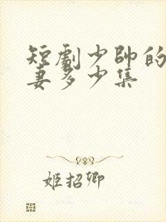 短剧少帅的冷情妻多少集