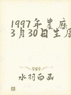 1997年农历3月30日生辰八字