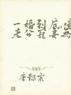 一婚到底,亿万老公宠妻无度