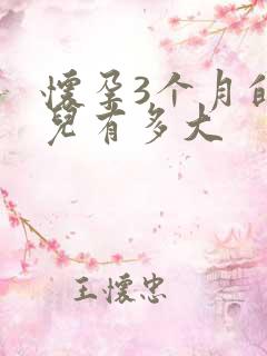 怀孕3个月的胎儿有多大