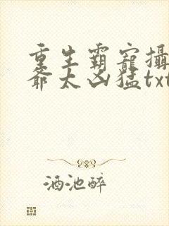 重生霸宠摄政王爷太凶猛txt