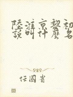 陆淮京黎初念小说叫什么名字