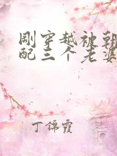 刚穿越被朝廷分配三个老婆免费阅读